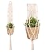 QNODI - Cesta colgante para plantas de macramé, macramé, cesta colgante de macramé, cesta de algodón para colgar de macramé, para interior y exterior, decoración de pared