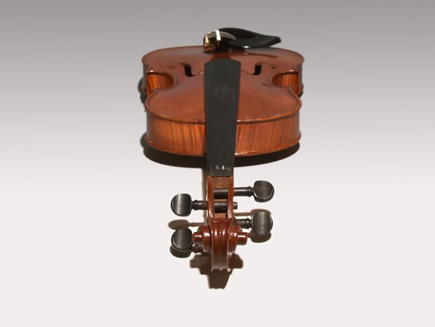 Walter Meinhold ドイツ1974 3/4 バイオリン 値下げ Walter Meinhold ドイツ1974 3/4 バイオリン 値下げ Walter