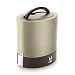 Vaya Tyffyn 1000 ml Insulated Lunch Box w.Bag Mat - Stainless Steel Leak-Resistant Food Storage Container - 100% BPA Free, Eco-Friendly & Reusable Lunch Box 23.5 oz (4.2 cups) total capacity