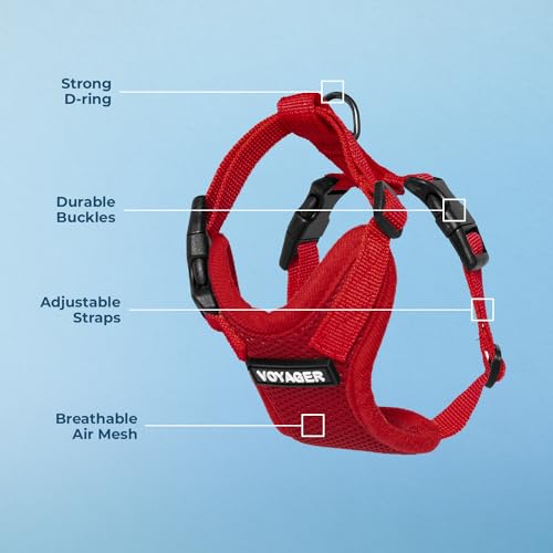 Image of Voyager Step-in Pet Harness - All Weather Mesh, Adjustable Step in Harness for Cats and Dogs by Best Pet Supplies - Red, M