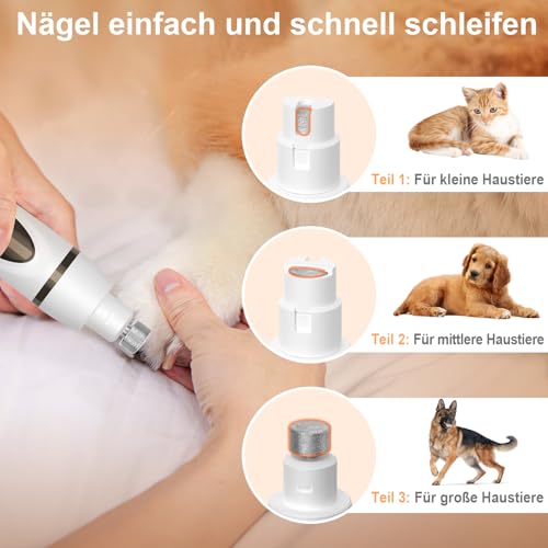 TECHMUR Hundeschermaschine und Pfotentrimmer 3in1 Set,Schermaschine für Haustiere,Profi Tierhaarschneider für Dichtes Fell + Pfotenschneider - Hunde & Katzen