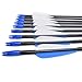 Fiberglass Arrows Archery 30 Inch Target Shooting Practice Safetyglass with Blue and White Vane for Recurve Bows Suitable for Youth Children Woman Beginner 12 PCS