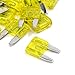FymuSing 20 pcs 20A Mini Blade Fuse, Automotive Fuse for Car Truck