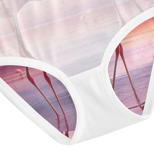 Valentine Flamingos Pink Undies for Toddler Girls, Cotton Girls Underwear, 2T–8 Years4