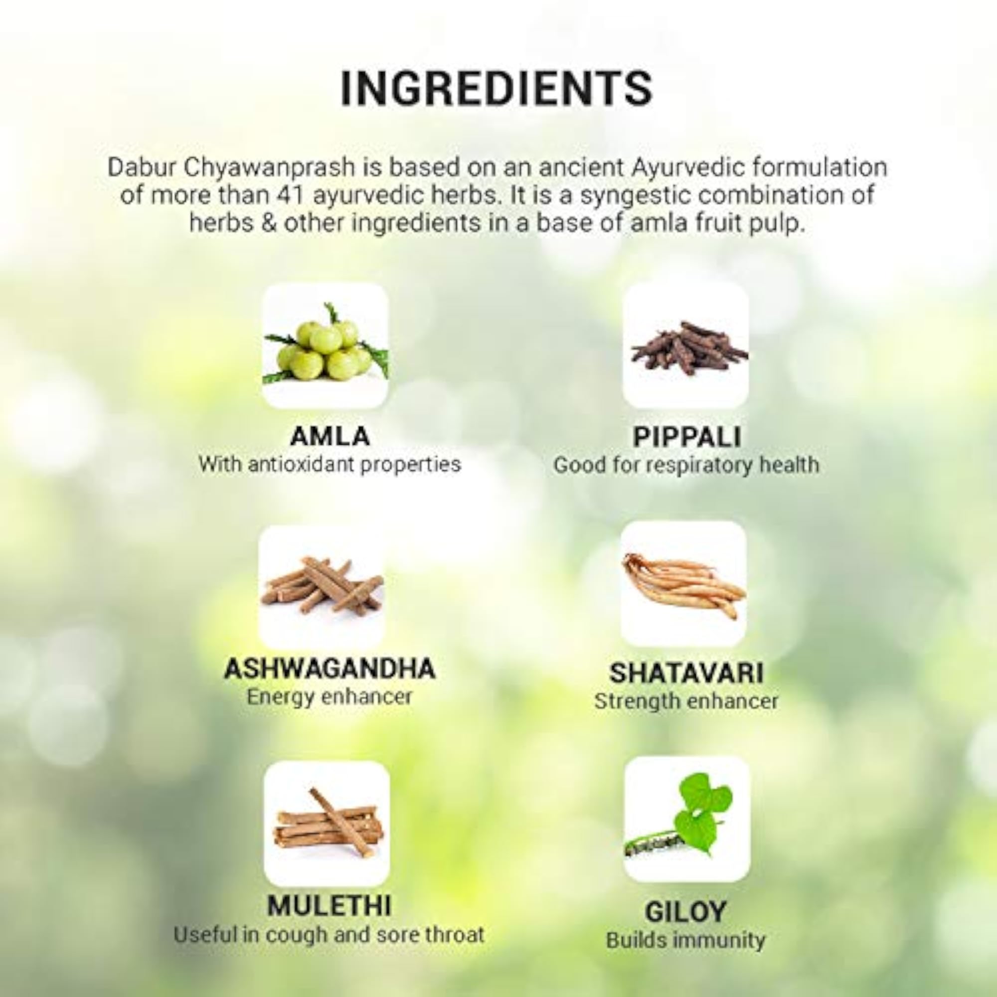 Baidyanath Chyawanprash, 2kg, Immunity Booster