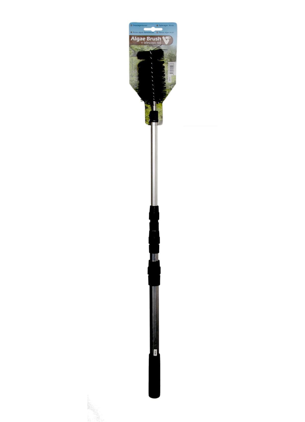 Algae Brush