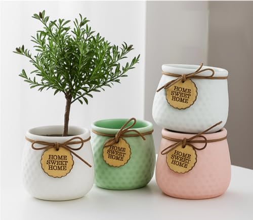 Image of Yo Green Ceramic Plant Pot for Indoor & Outdoor, Modern Planter for Home & Office Decor, Durable, Stylish Finish, Ideal for Tabletop, Shelf, Balcony, Great Gift Idea (Set of 4, 4 Inches)