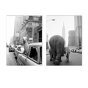 GSHRED Zwart En Wit Auto Alpaca Poster Straat Zebra Olifant Wall Art Canvas Schilderij Dier Print Nordic Wall Pictures Home Decor Unframed 60 × 80 cm × 2 stks