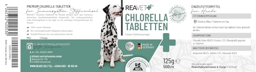 ReaVET Chlorella Tabletten für Hunde 500 Stück – Hochdosiert in Lebensmittelqualität, Mikroalge unterstützt Haut & Fell, Chlorella Algen Tabletten viel Protein