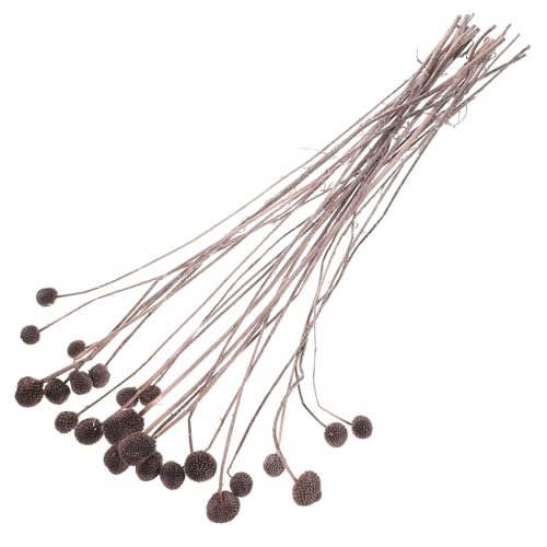 Tofficu 20pcs Flores Secas Craspedia Color Café miniatura 1