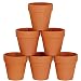 Winlyn 6 Pcs Large Terracotta Pot Clay Pots 5'' Clay Ceramic Pottery Planter Cactus Flower Pots Succulent Pot Drainage Hole- Great for Plants,Crafts,Wedding Favor