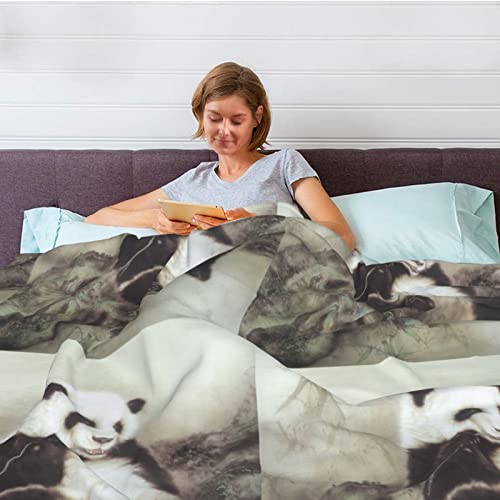 Couverture thermique douce panda contre le froid sur le canapé - 7