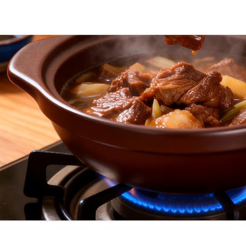 Olla de cerámica con tapa para guisos tradicionales en cocina 6