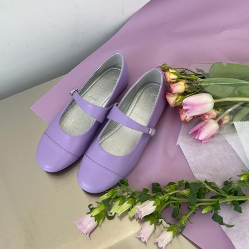 Colorful Mary Jane Ballet Flats for Women Round Toe Vintage Flat Shoes Retro Cute Comfortable Walking Shoes for Daily Wear4