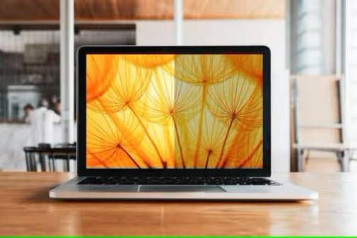 3m BP133W1E Bright Screen Privacy Filter Accs For 13.3 Full Screen Laptop 16:10
