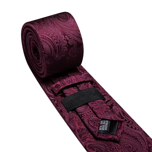 Image of Barry.Wang Paisley Tie for Men Silk Woven Necktie and Tie Clip Set Wedding Party Business Formal