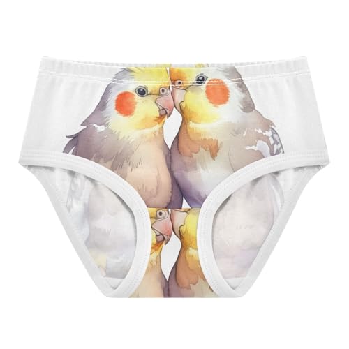 Cute Cockatiels Birds Valentine Girls Underwear Toddler 2t Cotton Panties for Girl Funny Kids Briefs Undies