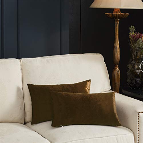 Image of GIGIZAZA Decorative Lumbar Pillow Covers,12x20 Chocolate Velvet Cushion Covers,Sofa Couch Pillow Cover Set of 2