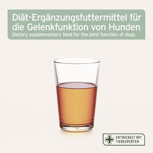 AniForte Arthro Omega Öl für Hunde 250ml - bei Osteoarthritis, Hund Arthrose & Gelenkentzündung, Hund Gelenkschmerzen, 100% Naturöl für Hundegelenke statt Gelenktabletten