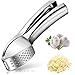 HENGBIRD Spremiaglio, taglia-aglio con filtro pieghevole, zenzero Smasher aglio, lavabile in lavastoviglie, in lega di alluminio (argento)