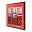 Georgia Bulldogs