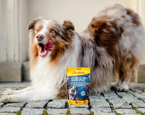 JOSERA Meat Chunks Chicken (8 x 70 g) | Adult | Premium Snack für Hunde mit Huhn | 90% Fleischanteil - super schmackhaft | zuckerfrei & getreidefrei | schonend getrocknetes Leckerli | 8er Pack