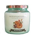 Scentsational Soaps & Candles 'Pumpkin Spice' Natural Soy Candle w/Lid 19 Oz