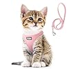 Fida Cat Harness and Leash Set for Walking Kitten and Puppy, Escape Proof Kitten Harness with Breathable Lightweight Soft Mesh, Adjustable Reflective Step-in Design. (XXXS, Pink)