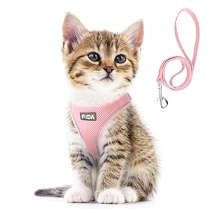 Fida Cat Harness and Leash Set for Walking Kitten and Puppy, Escape Proof Kitten Harness with Breathable Lightweight Soft Mesh, Adjustable Reflective Step-in Design. (XXXS, Pink)
