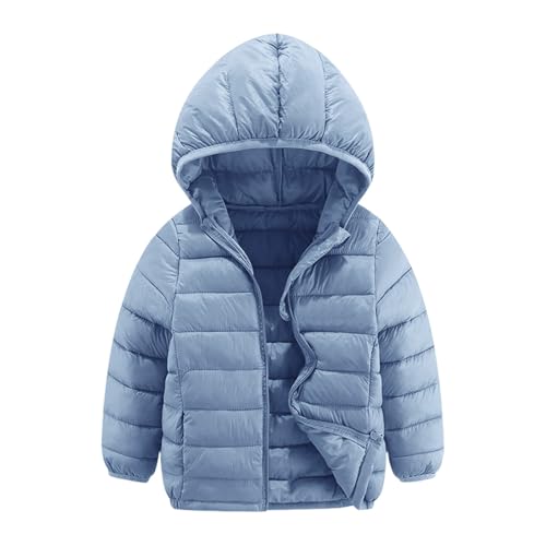 Boys and Toddlers' Winter Coat Lightweight Water-Resistant Packable Hooded Puffer Jacket Zipper Kids Girls Quilted Outerwear