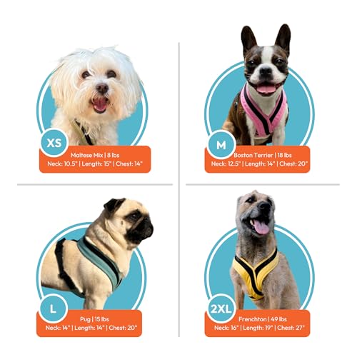 Image of Gooby Comfort X One Dog Harness, Choke-Free, Miami Yellow, X-Large | Escape-free contracting fit; Choke-free deep V-neck; Snap & swivel buckles; Shock-absorbing; Breathable mesh