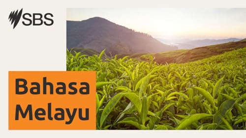 Teh Tarik Corner Destinasi Kulinari Enak Dari Malaysia cover art