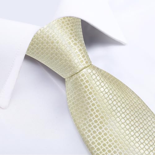 Image of DiBanGu Silk Ties for Men Necktie and Lapel Pin Brooch Set Formal Woven Paisley Plaid Striped Solid Tie Wedding Party