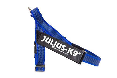Julius-K9 | IDC-Belt Harness | Size: 1 | Chest Measurement: 25-33,5"/63-81 cm | Blue