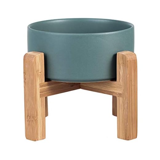 Ceramic Elevated Raised Cat Bowl with Wood Stand No Spill Pet Food Water Feeder Cats Small Dogs