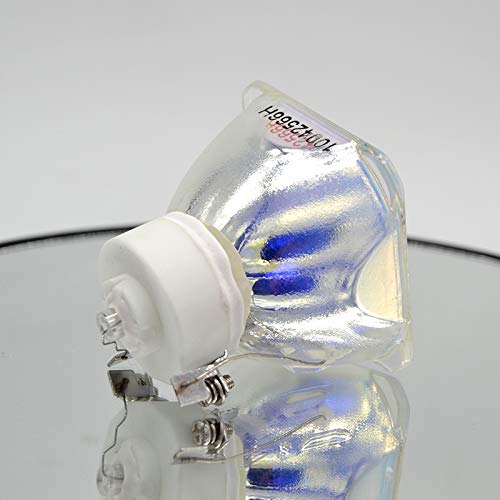 Lampe de projecteur compatible NP405C à luminosité stable pour NEC