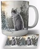 husky siberiano blanco caracteristicas IMPRESIÓN DE ALTA CALIDAD: Impresión por sublimación. Con esta técnica garantizamos una calidad premium, los colores permanecen vivos e intensos durante toda su vida útil.