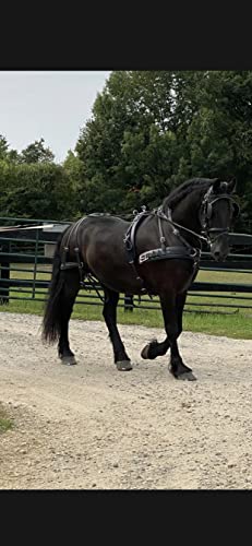 Leaders Tech Competition Harness for Full or Horse Size - Brown (Pair)