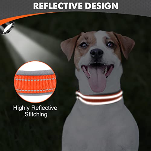 Image of Joytale Dog Collar for Small Dogs, Neoprene Padded and Adjustable, Reflective Wide Heavy Duty Pet Collars with Durable Metal Belt Buckle for Walking, Orange, S