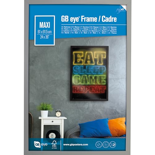 GB Eye Cadre pour affiche géante Argent 61 x 91,5 cm