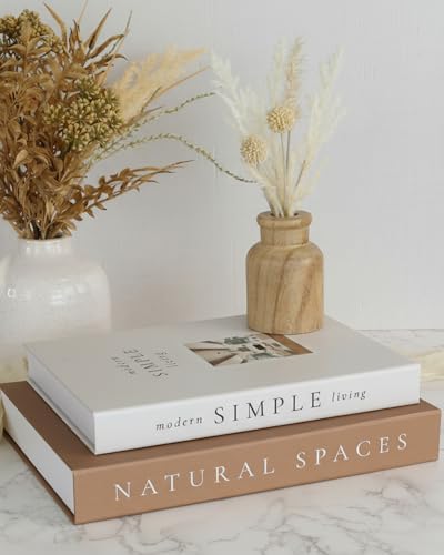 Beautiful Decorative Books - Set of 2 Boxes Enhance Your Coffee Table, Bookshelf or Mantel Shelf Decor - Aesthetic Fake/Faux Books for Modern Home Decoration, Photo Storage and as a Keepsake Box Beautiful Decorative Books - Set of 2 Boxes Enhance Your Coffee Table, Bookshelf or Mantel Shelf Decor - Aesthetic Fake/Faux Books for Modern Home Decoration, Photo Storage and as a Keepsake Box