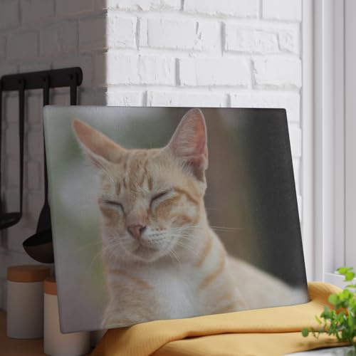 Tabla de Cortar Personalizada de Vidrio Templado Rectangular miniatura 5