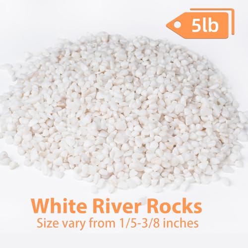 Image of 5 lbs White Aquarium Gravel, 1 /5 Inch White Rocks for Plants, Small Pebbles for Vases, Succulents, Bamboo, Natural Decorative Pebbles for Plants Drainage, Cactus, Crafts