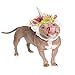 Unicorn Costume for Dogs & Cats | Pet Krewe Unicorn Hat with Metallic Silver Horn & Colorful Mane | Large Pet Costume