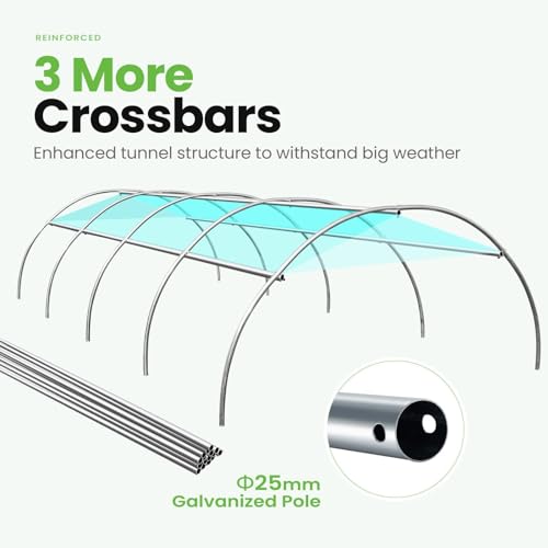 image for KING BIRD Premium 15x6.6x6.6FT Large Walk-in Greenhouse for Outdoors, 