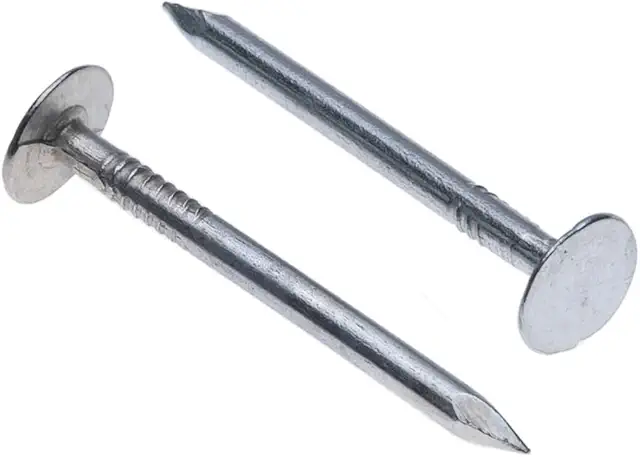Galvanized Clout Nails 40mm Pack of 100 - Extra Large Head for Roofing & DIY