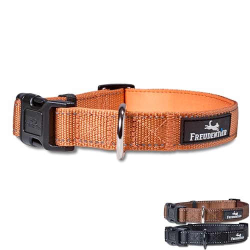 FREUDENTIER Hundehalsband - weich gepolstert mit Neopren, reflektierend & robust - Halsband Hund für kleine, mittelgroße & große Hunde (Sunset Orange, 20-30CM)