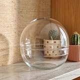 urbanjngl - Terrarium Fles 'Dome XL' - Zweiteiliges Bolglas, Geschlossen, Ø 28 cm, Höhe 28 cm - Ideal für Pflanzen und Dekoration im Innenbereich