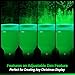 Bluex Bulbs 2 Pack BlueX LED Par38 Flood Green Light Bulb - 18W (120Watt Equivalent) - Dimmable - E26 Base LED Lights, Party Decoration, Porch, Home Lighting, Holiday Lighting, Green Flood Lights