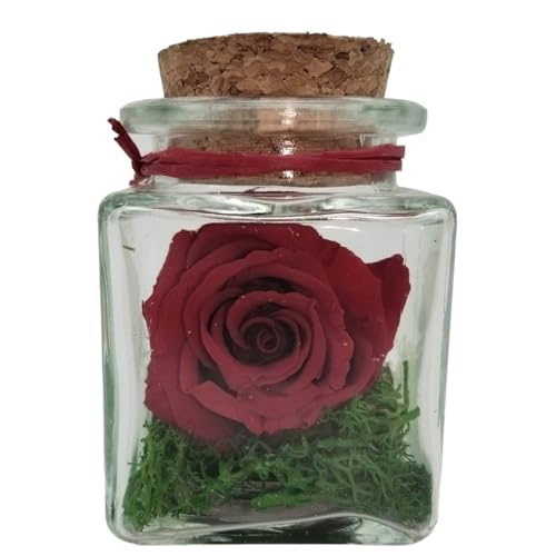 Genérico Rosa ETERNA ROJA PRESERVADA. Cubo de Vidrio. Mini. Rosa roja Natural preservada. Rosas Rosas eternas. Flores preservadas. Regalo Original Flor preservada.